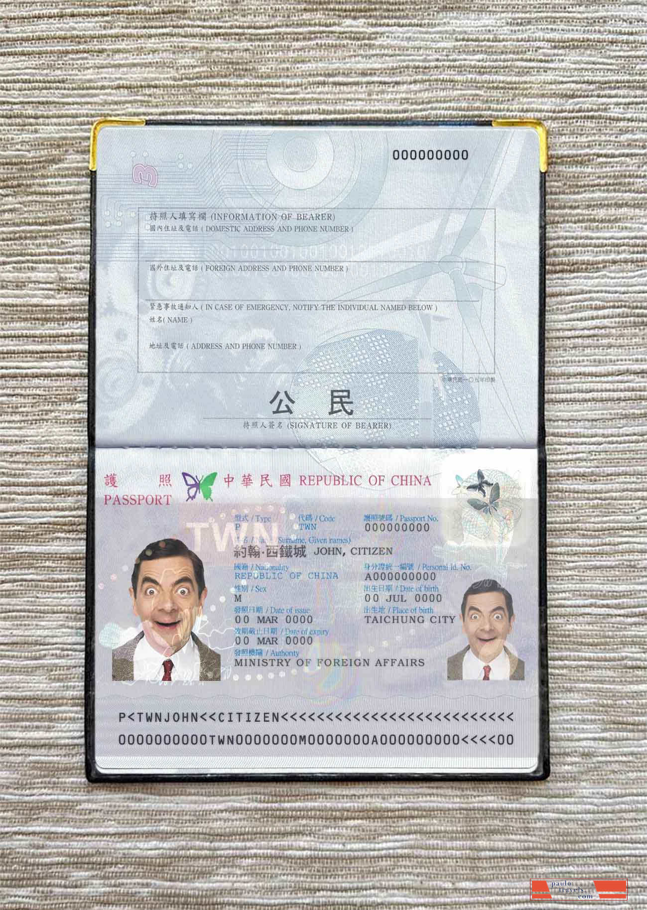 Taiwan passport photo look PSD template